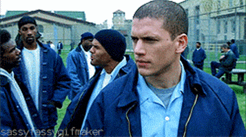 普京的gif-prison break GIF