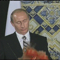 普京的gif-putin GIF