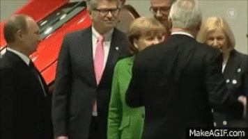 普京的gif-putin GIF