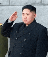 金正恩的gif-difference GIF
