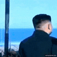 金正恩的gif-north korea kim GIF