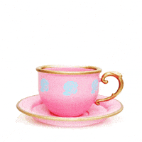 金正恩的gif-north korea teacup GIF