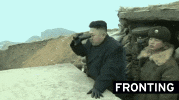 金正恩的gif-jong-un cat GIF