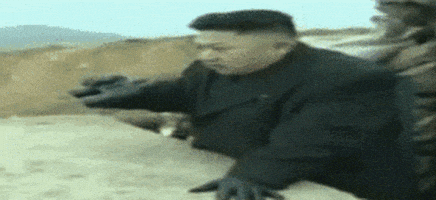 金正恩的gif-north korea psy GIF