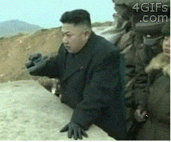 金正恩的gif-korea wink GIF