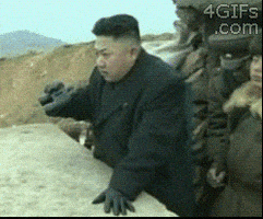 金正恩的gif-kim jong un wtf GIF