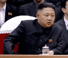 金正恩的gif-north korea GIF