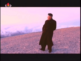 金正恩的gif-korean kim GIF