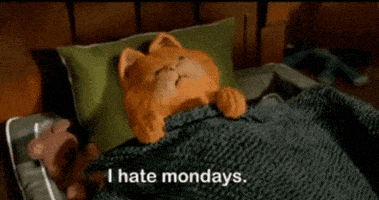 喵星人的gif-tired cat GIF
