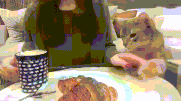 喵星人的gif-cat croissant GIF