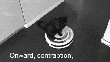 喵星人的gif-cat roomba GIF