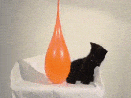 喵星人的gif