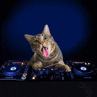 喵星人的gif-social media cat GIF by Pizza Hut Latam