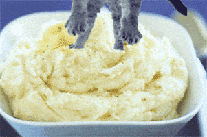 喵星人的gif-soothing mashed potatoes GIF