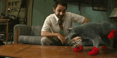 喵星人的gif-its always sunny in philadelphia cat GIF