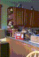 喵星人的gif-cute cat GIF