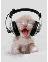 喵星人的gif-headphones GIF