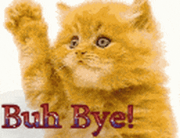 喵星人的gif-cat goodbye GIF