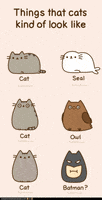 喵星人的gif-cat GIF by Pusheen