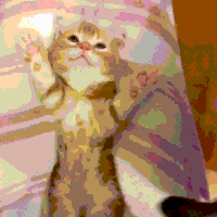 喵星人的gif-bedtime GIF