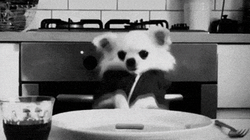 汪汪的gif-dog nom GIF by Sainsbury's
