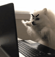 汪汪的gif-mad dog GIF