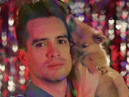 汪汪的gif-cute puppy love GIF by Panic! At The Disco
