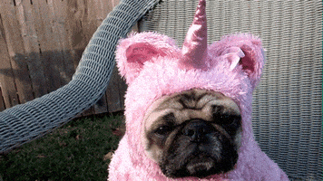 汪汪的gif-dog costume GIF