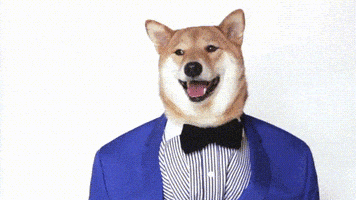 汪汪的gif-costume yawn GIF by Menswear Dog