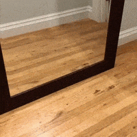 汪汪的gif-Scared Dog GIF by moodman
