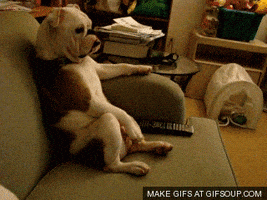 汪汪的gif-working from home chilling GIF