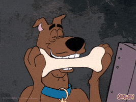 汪汪的gif-dog eating GIF by Scooby-Doo