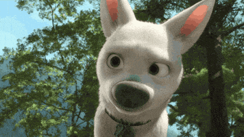 汪汪的gif-dog ears GIF by Disney