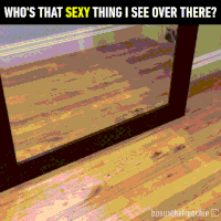 汪汪的gif-dog mirrors GIF