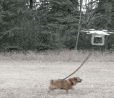 汪汪的gif-dog drone GIF by Product Hunt