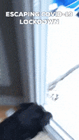 新冠肺炎GIF的gif