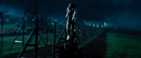 女人的gif-wonder woman GIF