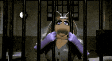 女人的gif-strong miss piggy GIF
