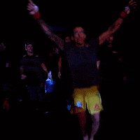 每日GIF(2020-04-08)的gif-GIF by UFC