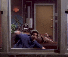 每日GIF(2020-04-08)的gif-Season 5 Swimming GIF by Friends