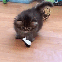 每日GIF(2020-04-08)的gif-World Sorcery GIF