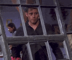 每日GIF(2020-04-08)的gif-Season 5 Episode 114 GIF by Friends