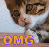omg GIF的gif-Oh My God Omg GIF by swerk