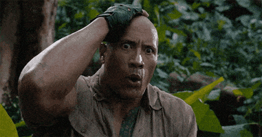 omg GIF的gif-The Rock Omg GIF by moodman