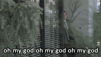 omg GIF的gif-the office omg GIF
