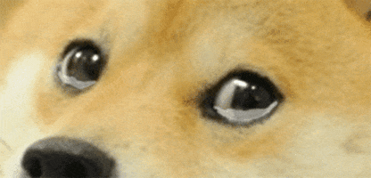 悲伤GIF的gif-Sad Meme GIF