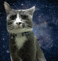 悲伤GIF的gif-sad space cat GIF