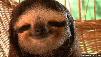 每日GIF(2020-04-09)的gif-Relaxed Chill GIF