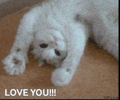 每日GIF(2020-04-09)的gif-Love You GIF by swerk