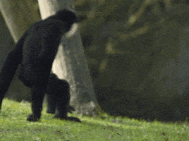 每日GIF(2020-04-09)的gif-Friendship Hug GIF